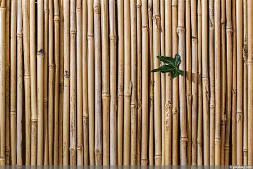 หน้าจอความเป็นส่วนตัวของ Bamboo