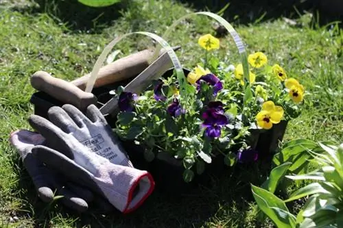 Trabajar en el jardín