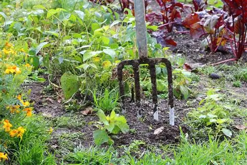 Een tuin aanleggen – u moet deze richtlijnen volgen