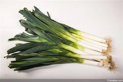 Leeks - leeks