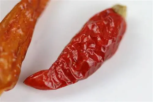 Pepperoni - chili