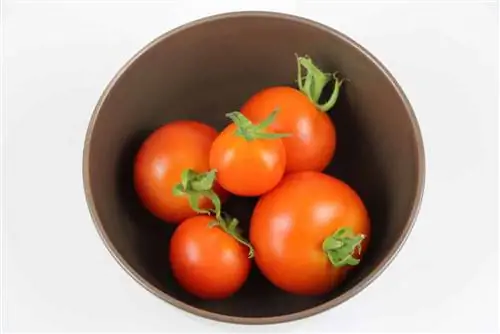 tomaten