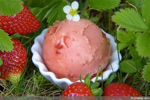 Strawberry ice cream