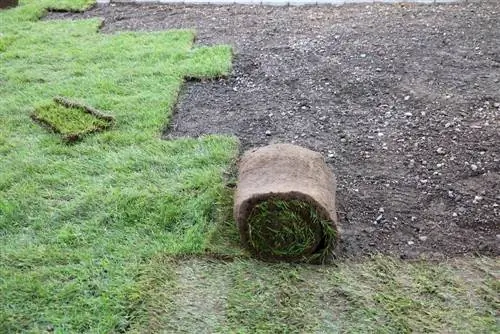 Verzorging van nieuw gras - maaien en bemesten in het eerste jaar