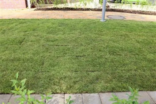 Roll turf with lawn edges