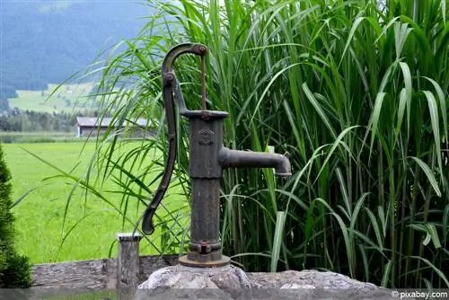 Fuente de jardín con bomba.