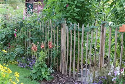 Dissenyar un jardí de cabana: plans i idees per a l'hort florit