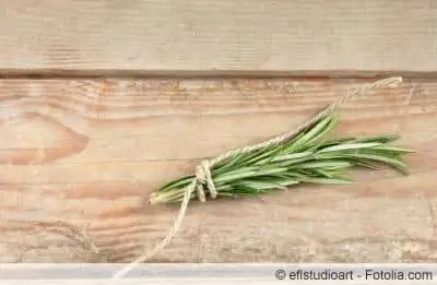 Harvest rosemary