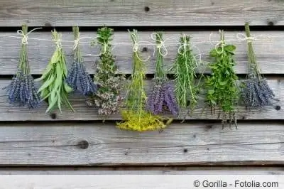 Air dry herbs