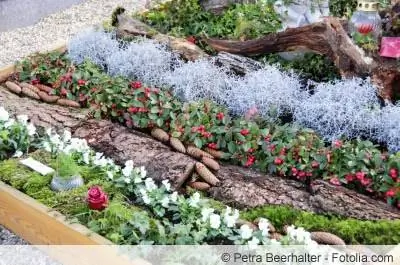 Plantas funerarias para lugares con sombra