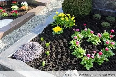 Plantas funerarias para lugares soleados y sombreados