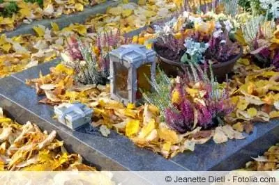 Grave planting in autumn