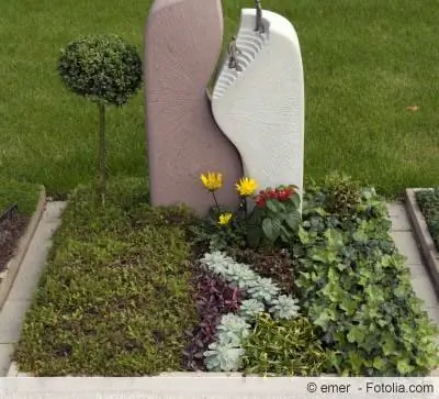 Grafbeplanting met bodembedekkers