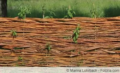 Bed border na gawa sa willow - gumawa ng sarili mong willow fence