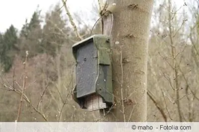 Būvniecības instrukcijas: Izgatavojiet un pakariniet sikspārņu kasti