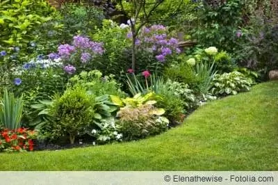 beautiful flower bed