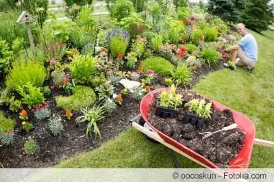 Instructions for designing flower beds