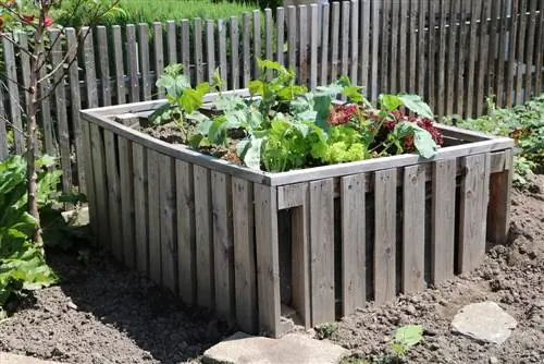 Planting av høybed - de beste plantene for det første året