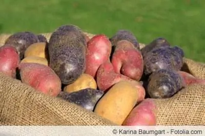 red potatoes