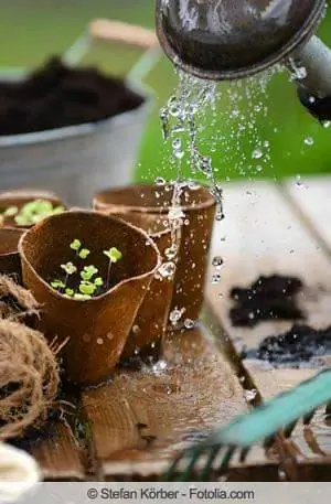 Construisez votre propre système d'arrosage des plantes pour les balcons et les plantes en pot