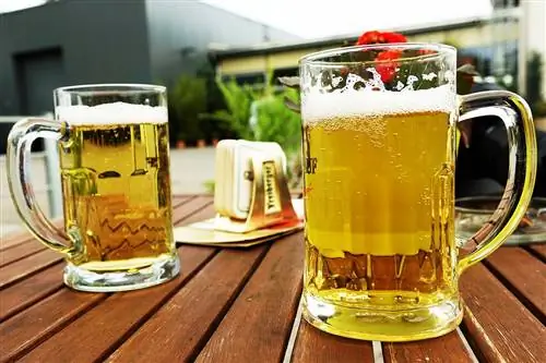 Cerveza como fertilizante para rosas