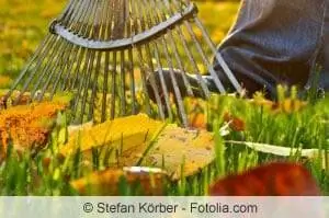 Lawn care in fall