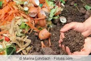 compost