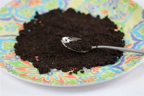 Coffee grounds as fertilizer