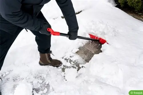 Havat tolni a járdára