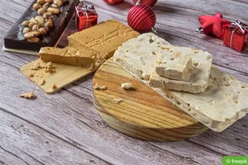 Almond pastry turrón