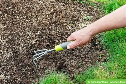 Maak de grond los met vers gezaaid graszaad met behulp van een cultivator