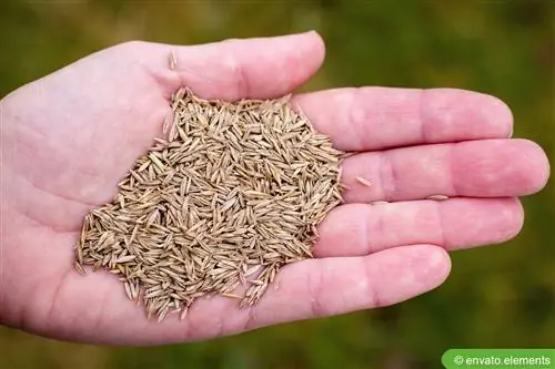 Strooi net grassade: is dit genoeg?