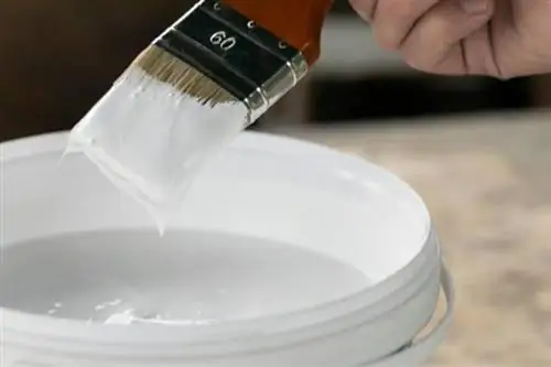 Emulsion paint white