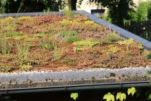 Green roof