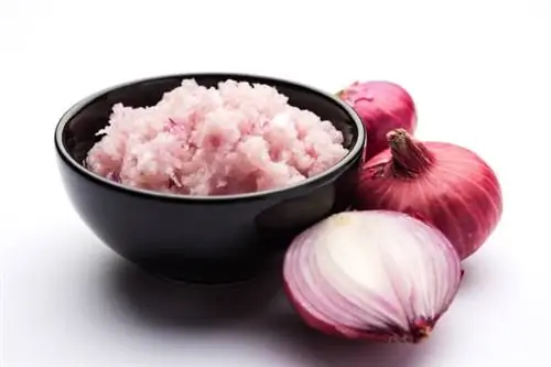 grated onion in a bowl