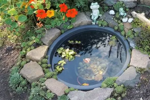 Een minivijver creëren - instructies voor bouwen en planten