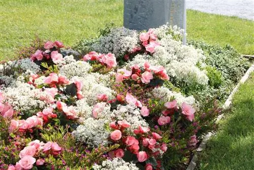 Grave na disenyo na may mga halaman - mga ideya para sa mga puno at bulaklak