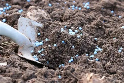 Fertilizante de grano azul: productos y composición