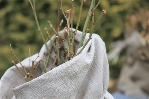 Fleece dhe jute e ndjerë si mbrojtje dimërore