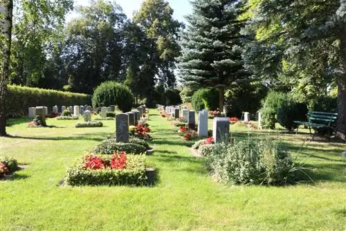 Terreno grave: questo è ciò che distingue un buon terreno grave