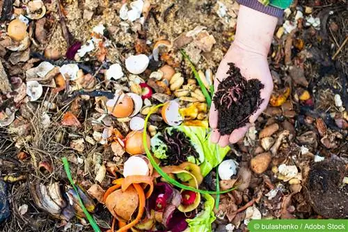 Tuinbemesting - natuurlike kunsmis vir die tuin