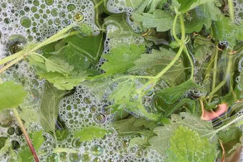 Maak je eigen organische meststof - voor planten, fruit en groenten