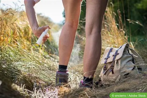 Luchar contra los ácaros del otoño: el mejor medio