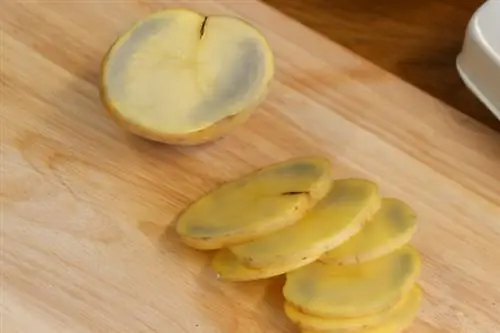 Black spot on a potato