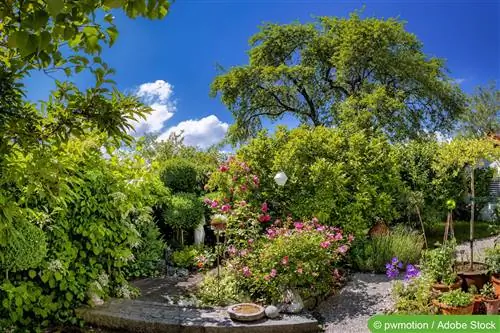 Árvores caducifólias nativas para o jardim