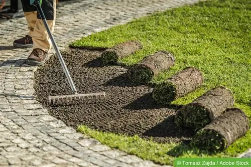 Készítse elő a talajt hengerelt gyephez és gyephez