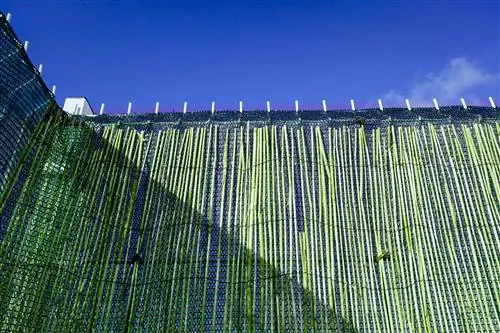 Bamboo roll fence as a privacy screen - variants and costs - bamboo fence