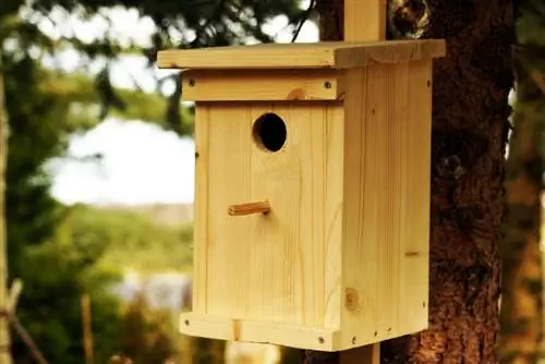 nesting box