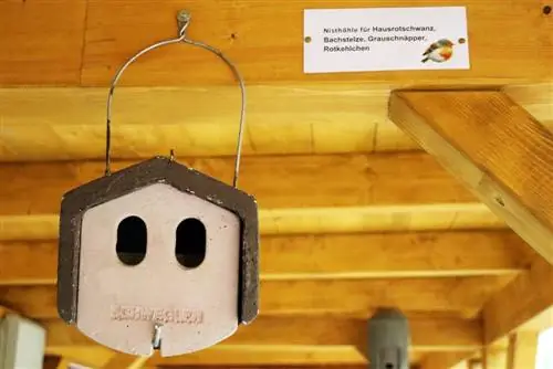 Robin nesting box