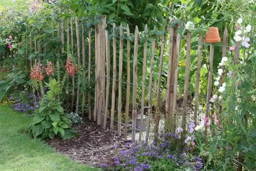 Redesigning the old garden - creating and planting